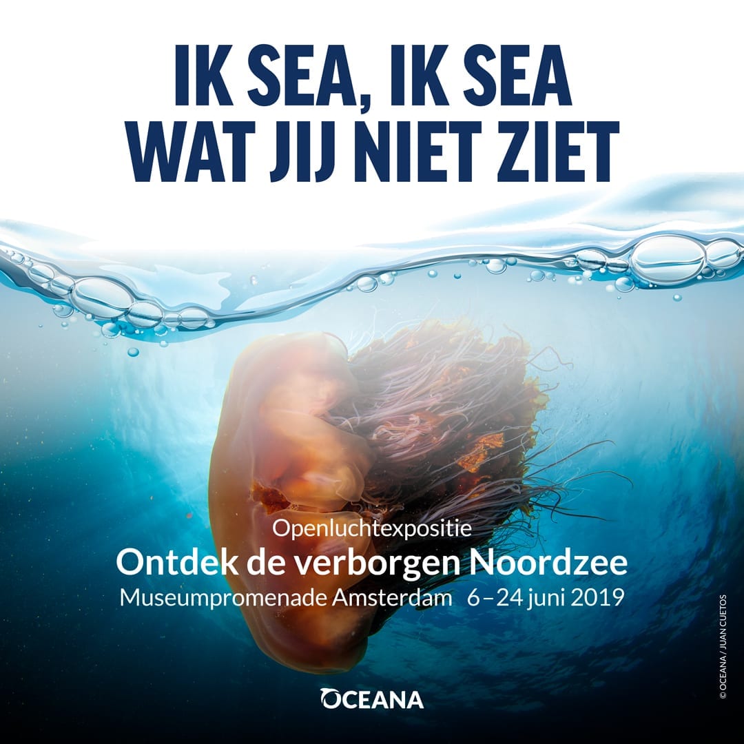 Ik sea, ik sea wat jij niet ziet - Oceana foto expositie